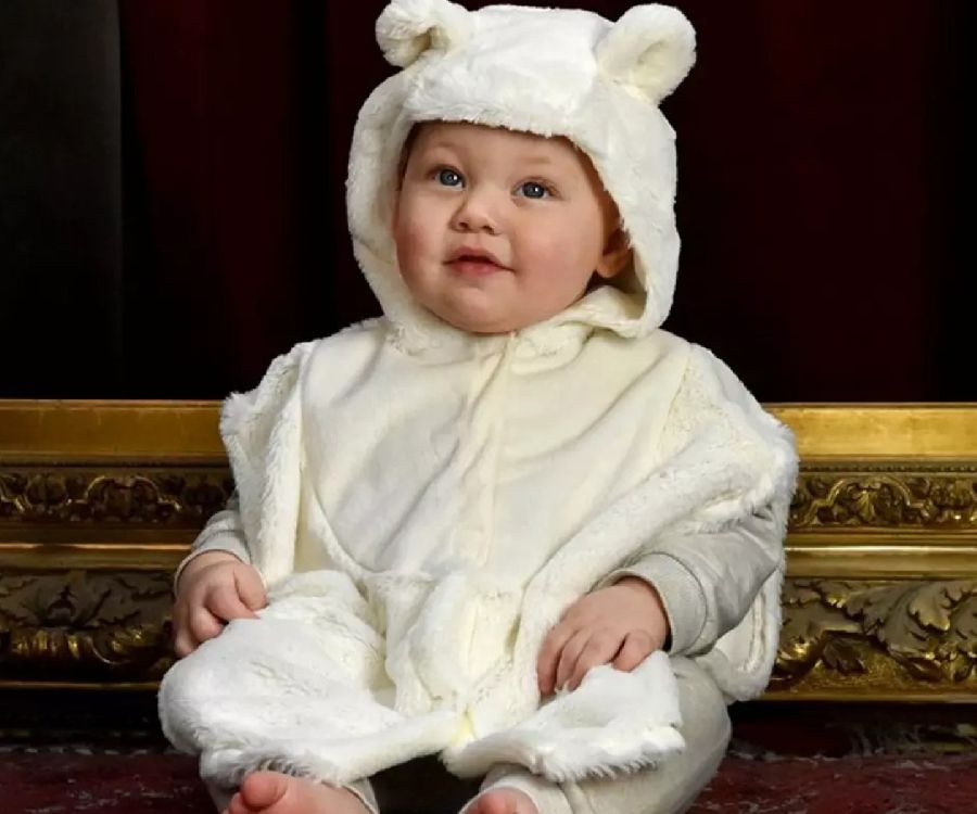 Mini Cape Animals Den Goda Fen, Polar Bear