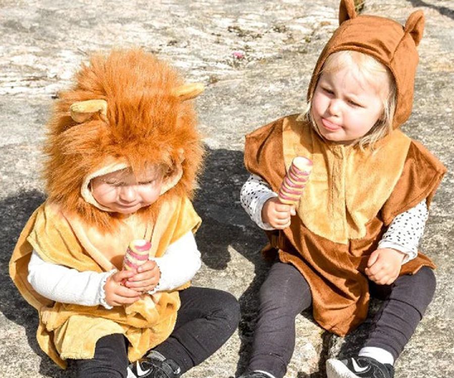 Mini Cape Animals Den Goda Fen, Lion