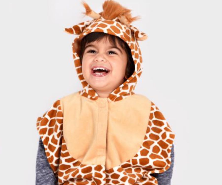 Mini Cape Animals Den Goda Fen, Giraffe