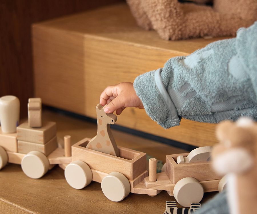 Blokken Jollein Speelgoedtrein | blokkentrein