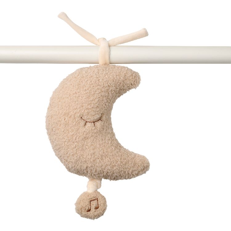Muziektrekker Nattou, Musical Moon | Teddy