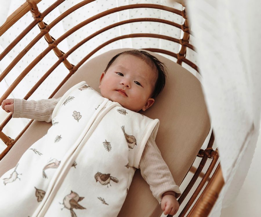 Slaapzak Meyco Baby, 9/12 maanden, 2.5 TOG | Robin multi