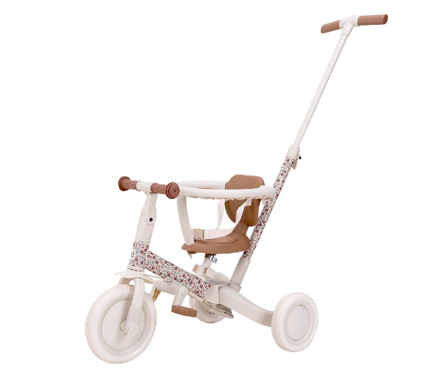 Loopfiets & -auto Little Dutch 4-in-1