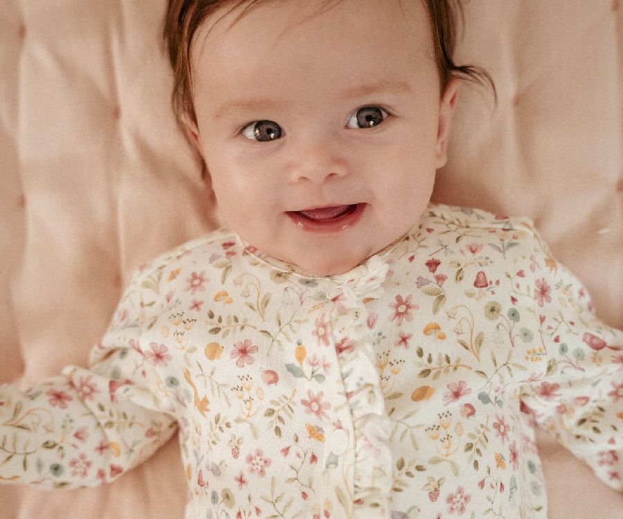 Kruippak Little Dutch