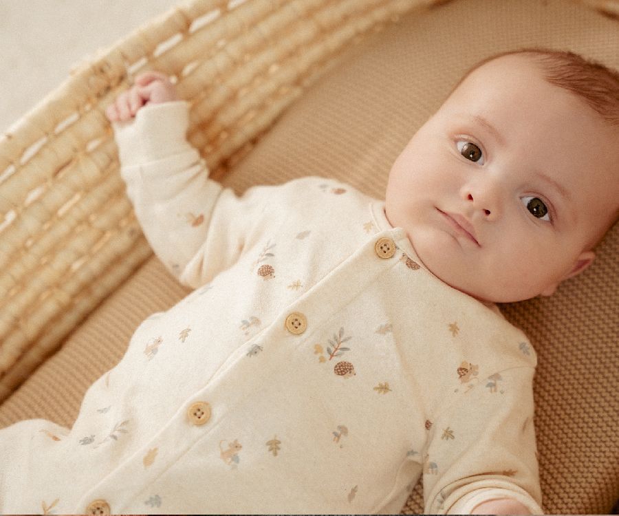 Kruippak Little Dutch