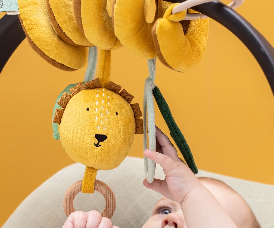 Activiteitenspiraal Trixie Activity spiral | Mr. Lion Playtime