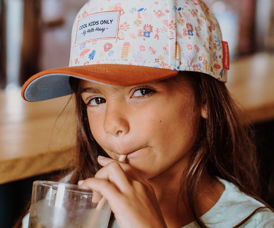 Pet Hello Hossy Dried Flowers