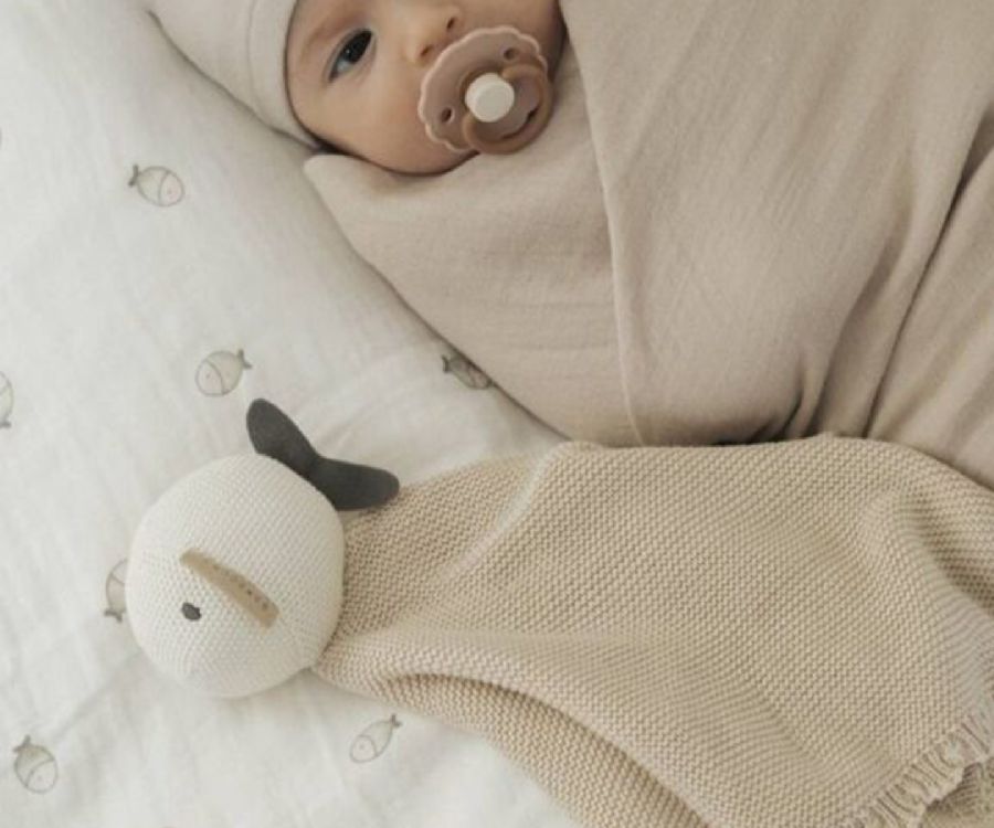 Knuffeldoek Bamboom, Cuddle toy | Fishes