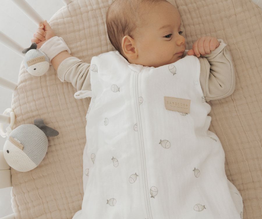 Speelfiguur Bamboom Pull & shake toy | Fishes