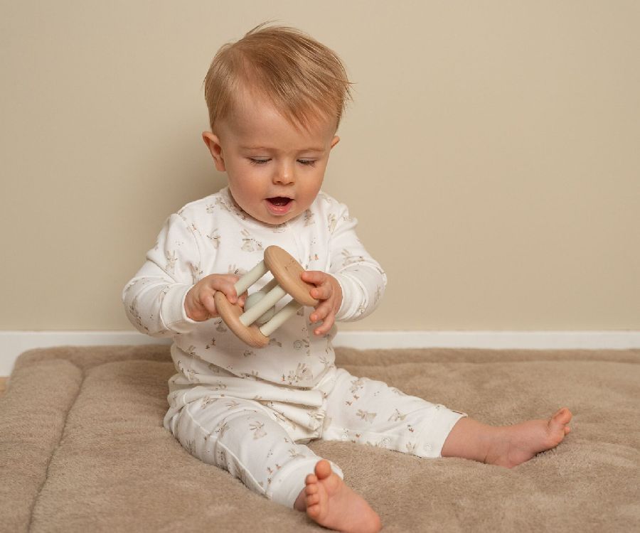 Kruiprol & rolfiguur Little Dutch Roller | Baby Bunny