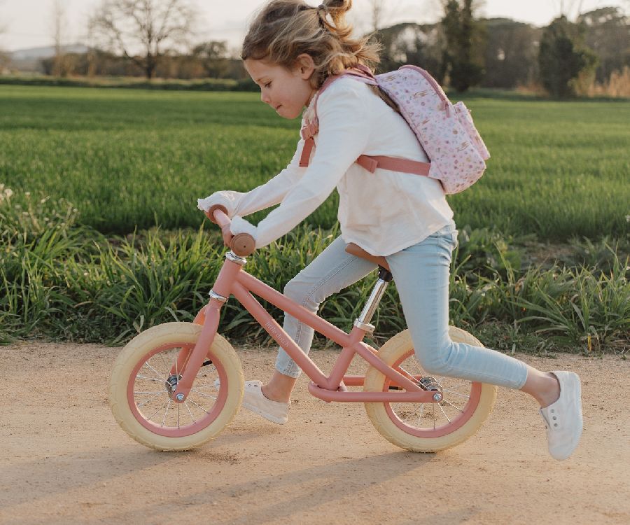 Loopfiets & -auto Little Dutch