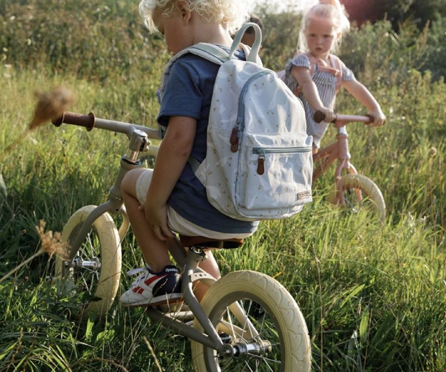 Loopfiets & -auto Little Dutch
