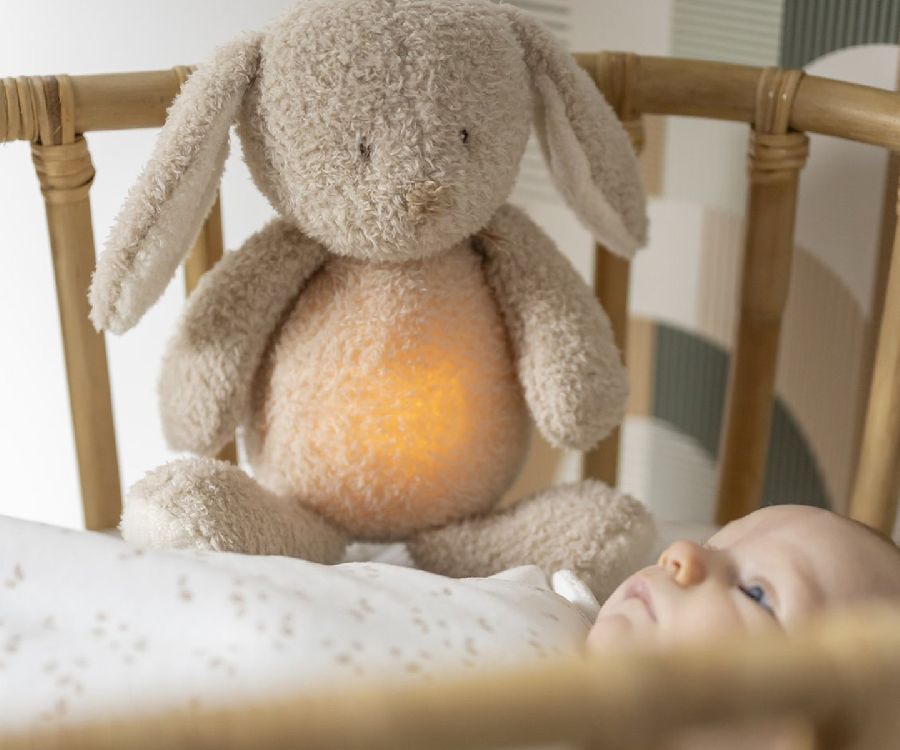 Slaapknuffel Nattou Bunny teddy | Sleepy