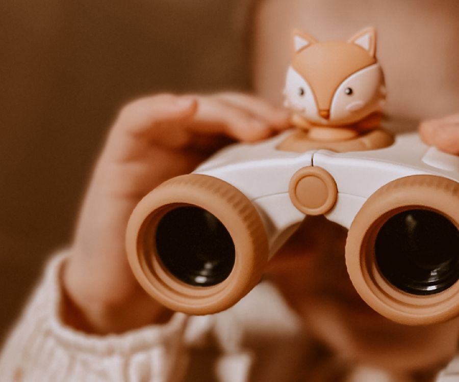 Tuinspeelgoed The Zoofamily, Zoo Eyes