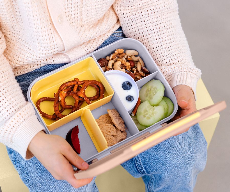 Brooddoos Laessig Bento Lunchbox | Pattern Party rose School