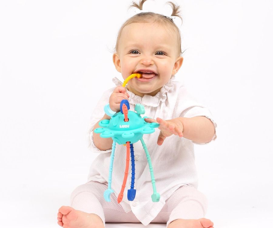 Activiteitenbal Ludi Zippy toy