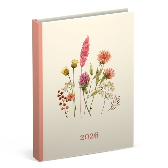 Agenda Lannoo Graphics Pocket S, 2026