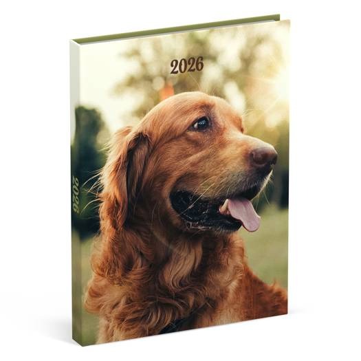 Agenda Lannoo Graphics Diary M, 2026 | My Favourite Friends - Dogs