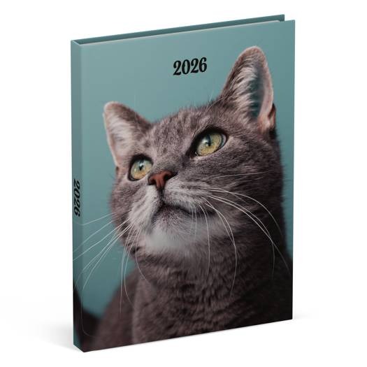Agenda Lannoo Graphics Diary M, 2026 | My Favourite Friends - Cats