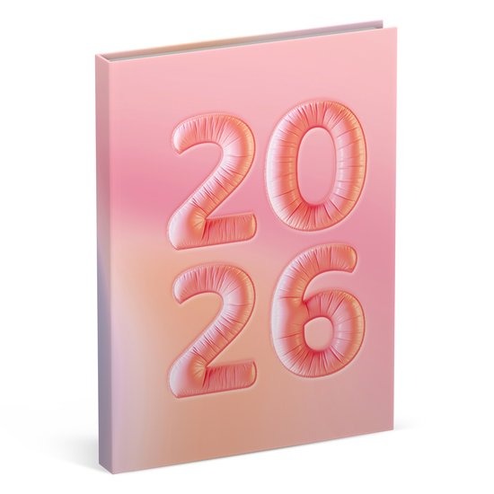 Agenda Lannoo Graphics Diary M, 2026