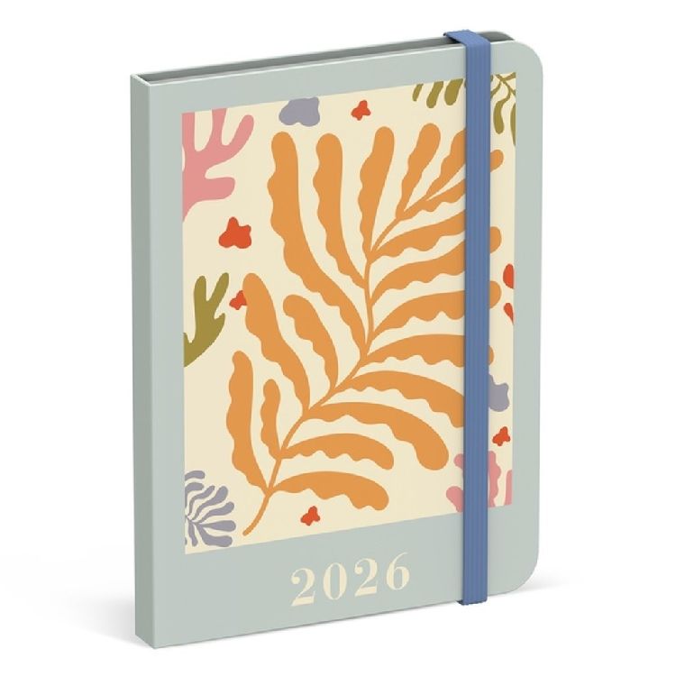 Agenda Lannoo Graphics Diary M, 2026