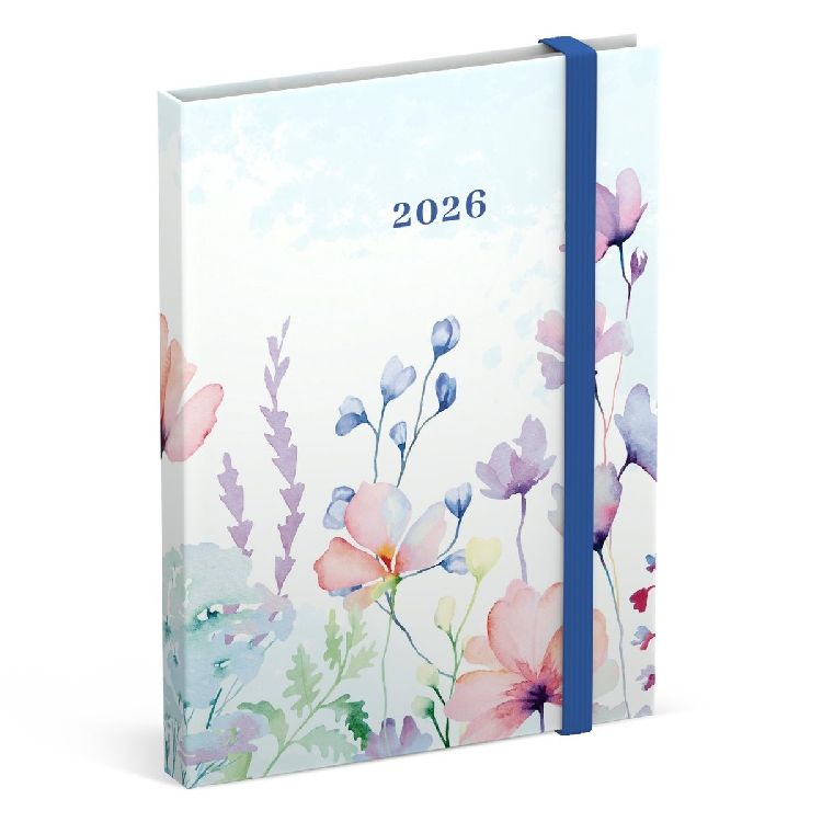 Agenda Lannoo Graphics Diary M, 2026