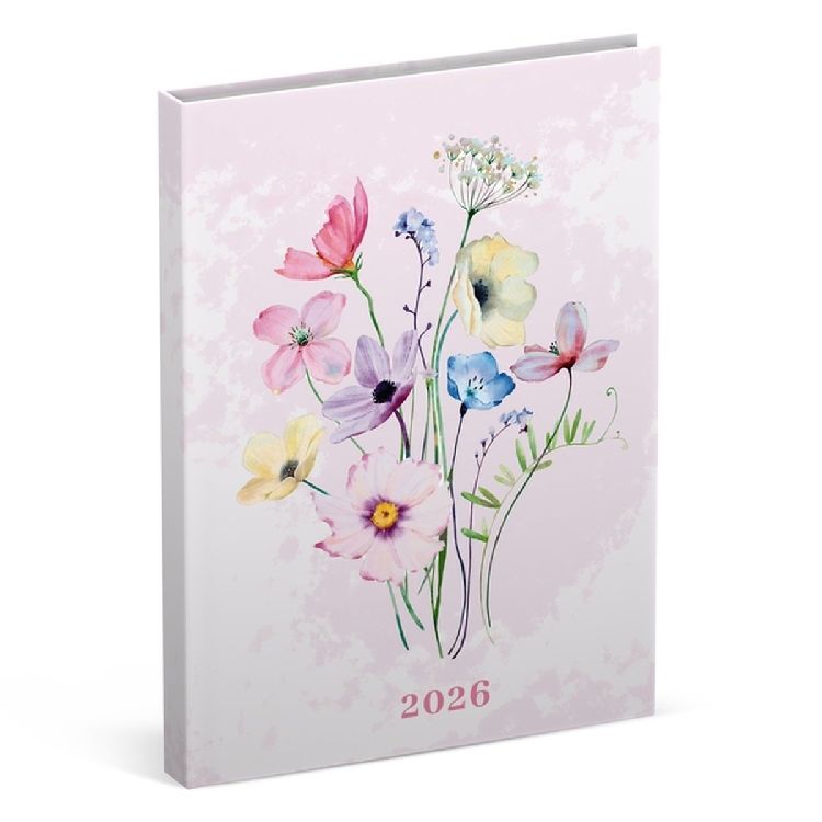 Agenda Lannoo Graphics Diary M, 2026