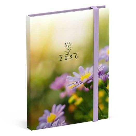 Agenda Lannoo Graphics Diary M, 2026