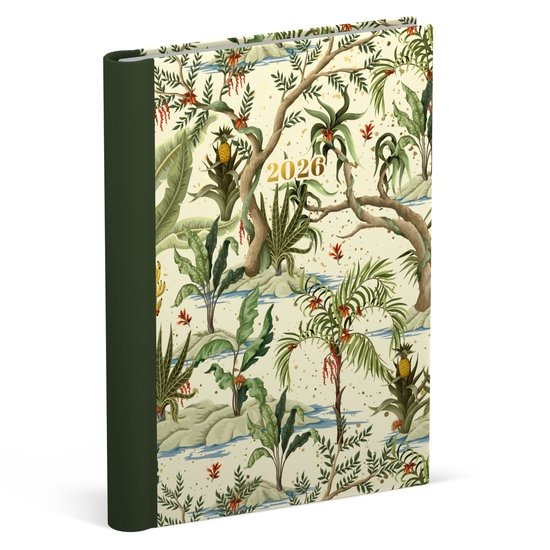 Agenda Lannoo Graphics Wire-O, 2026