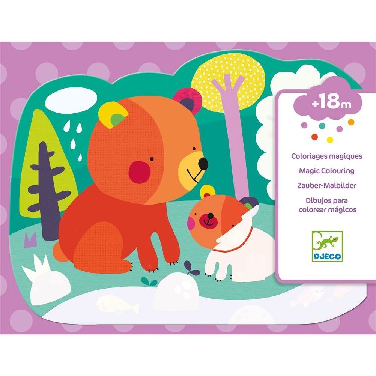 Waterboek & -kaarten Djeco Hidden in the woods