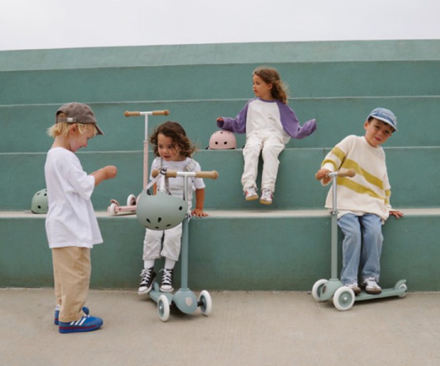 Step Banwood Eco Scooter