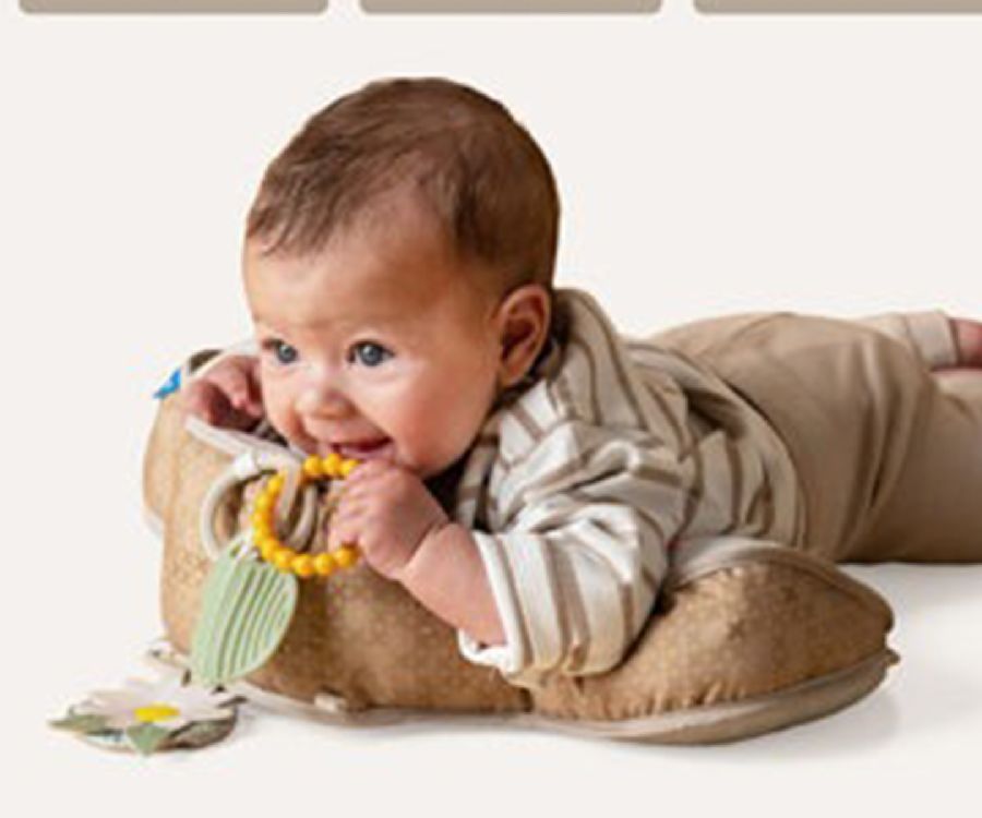 Buikkussen Taf Toys Tummy-Time Pillow Bear