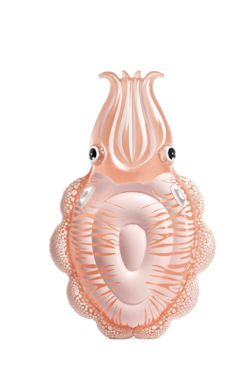 Luchtmatras Intex, Cuttlefish Float