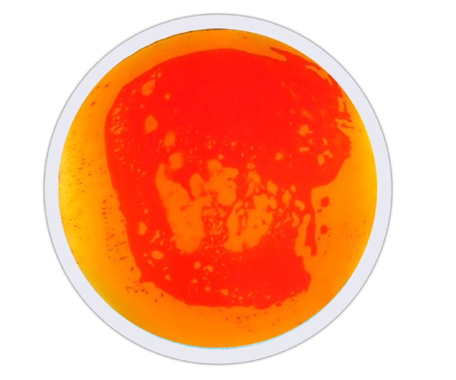 Vloertegel Playlearn Sensory Liquid Floor Tile
