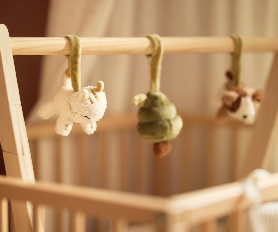 Speelfiguur Jollein Babygym speeltjes | Tiny Park