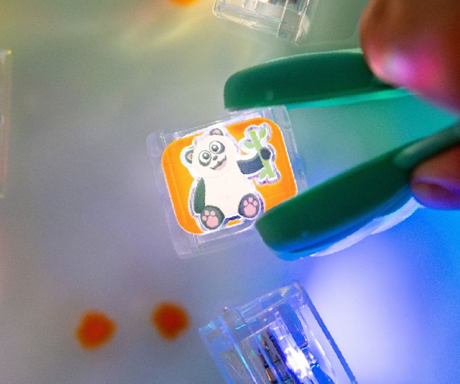 Lichtgevend badspeelgoed Glo Pals Zany Zoo | Light Up Cubes