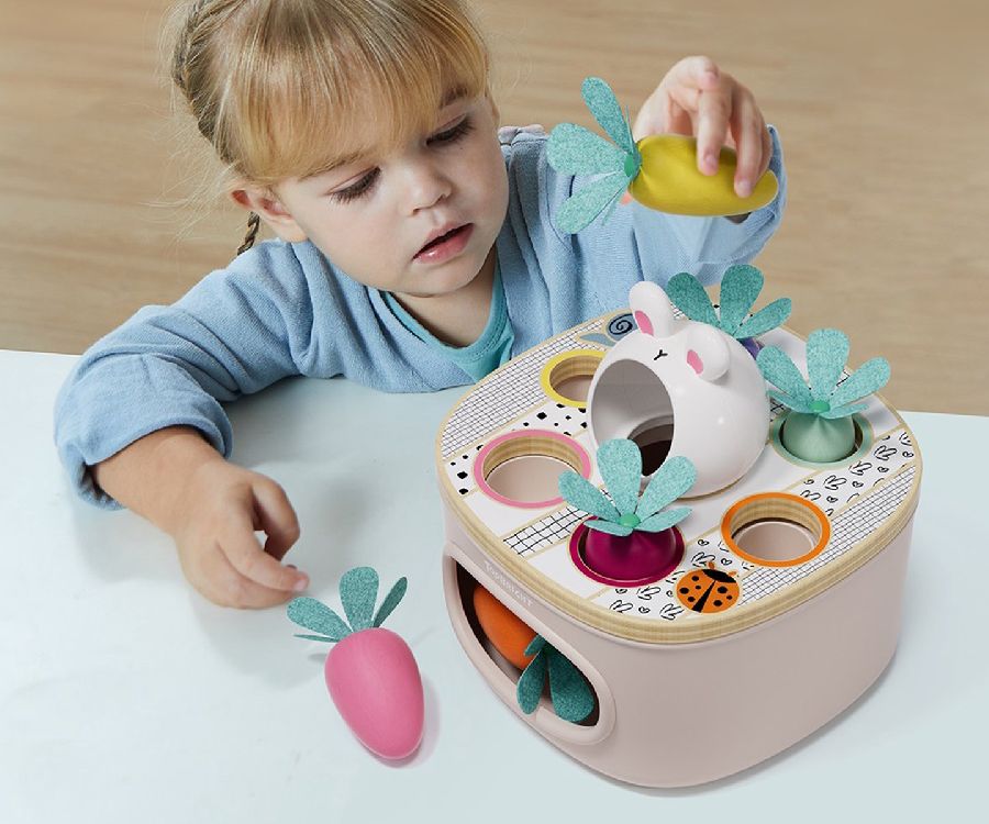 Vormenstoof Topbright Match & sort carrots