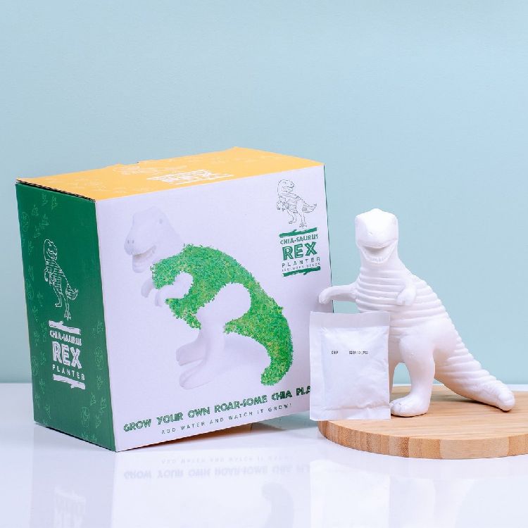 BLOEMPOT 1st, Saurus-Rex, Platenpot met chiazaden, wit