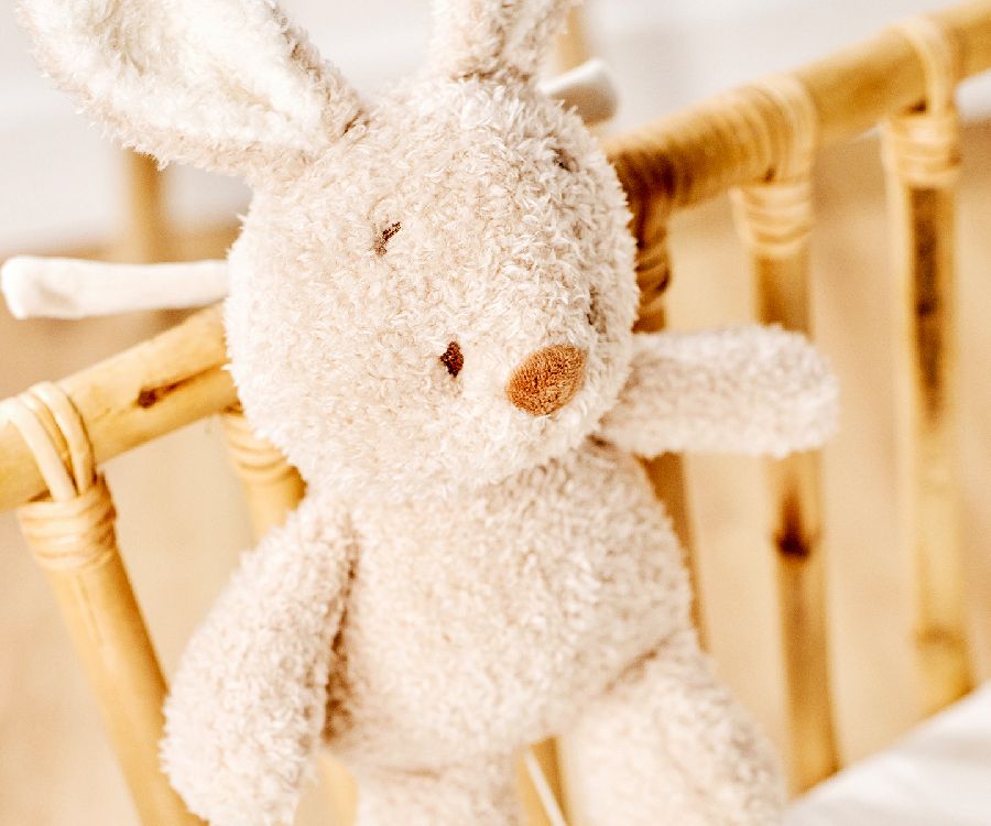 Muziektrekker Nattou, Musical baby Bunny | Teddy