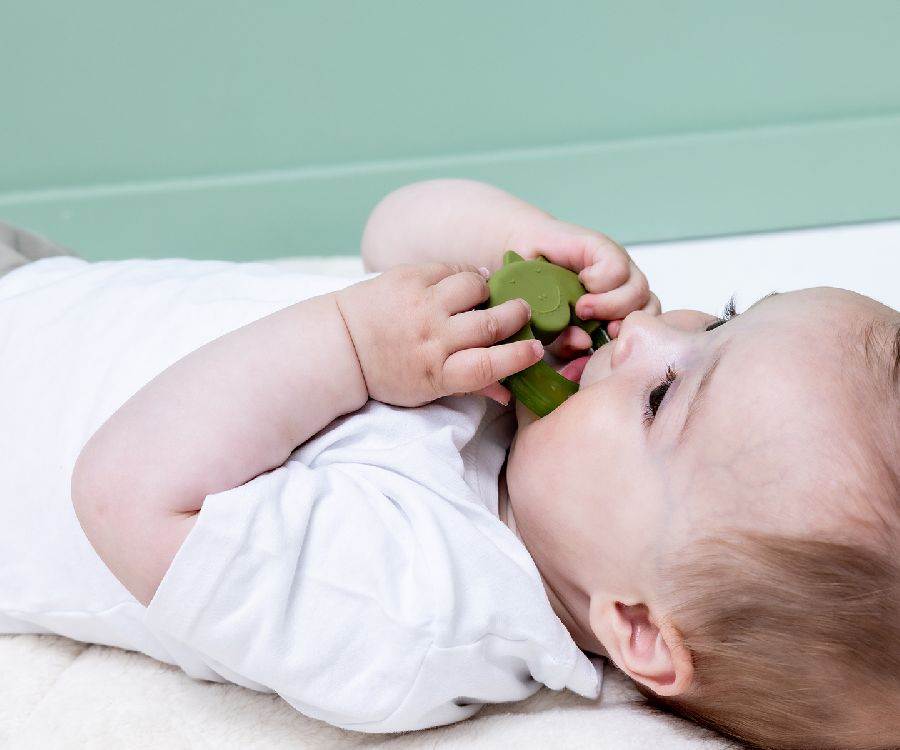 Ijsbijtring Trixie Cooling teether | Mr. Dino Playtime