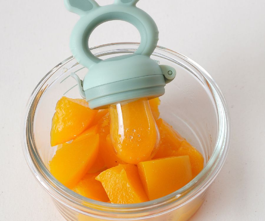 Sabbelspeen BoJungle Fruit feeder 4-in-1
