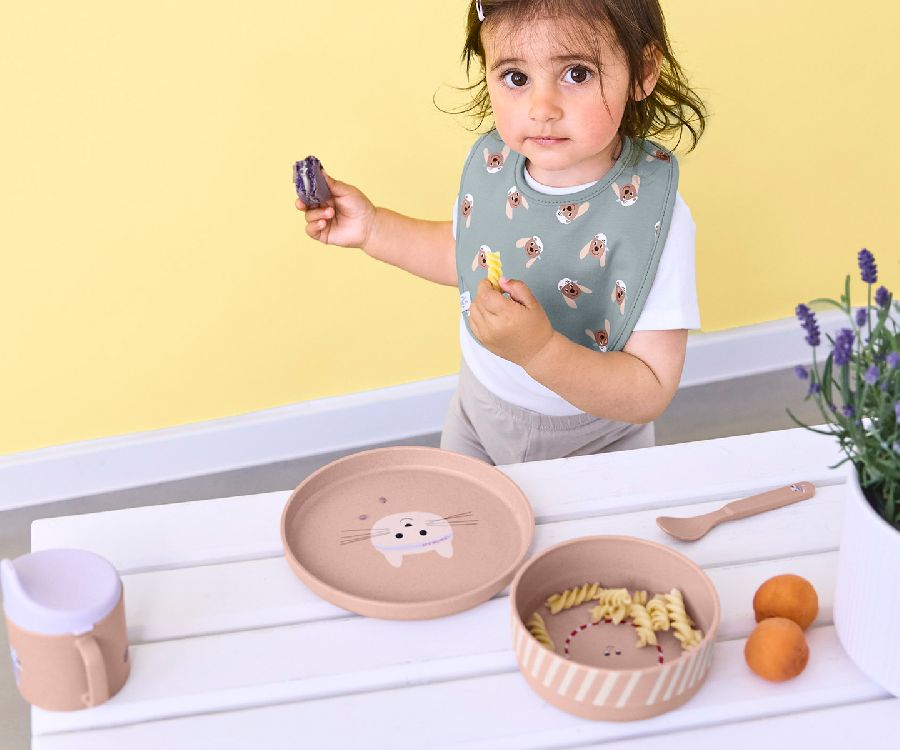 Eetset Laessig Dish Set | Tiny Team Cat