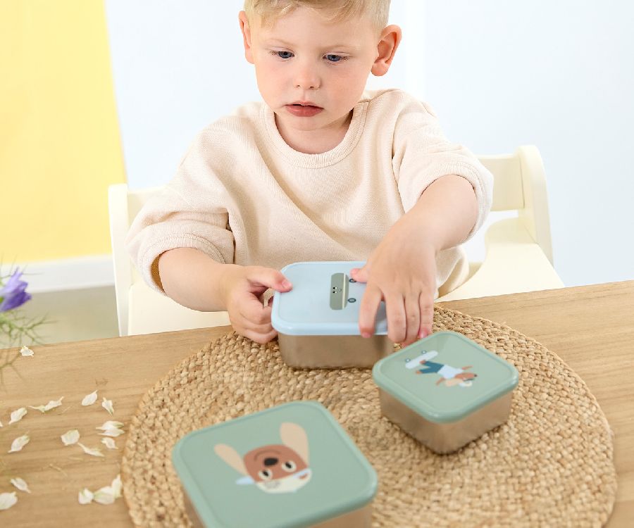 Snackdoos Laessig Snackbox, 3 stuk(s) | Tiny Team Dog