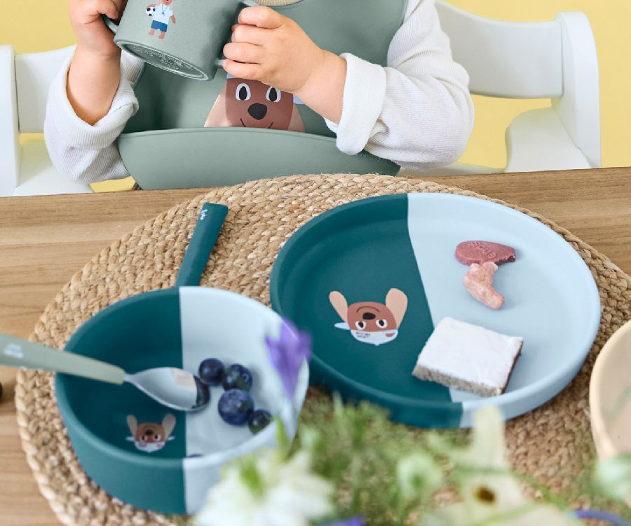 Bord Laessig Silicone Bowl, kom | Tiny Team Dog