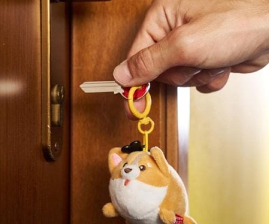 Sleutelhanger Legami Super Soft! Tiny | Corgi