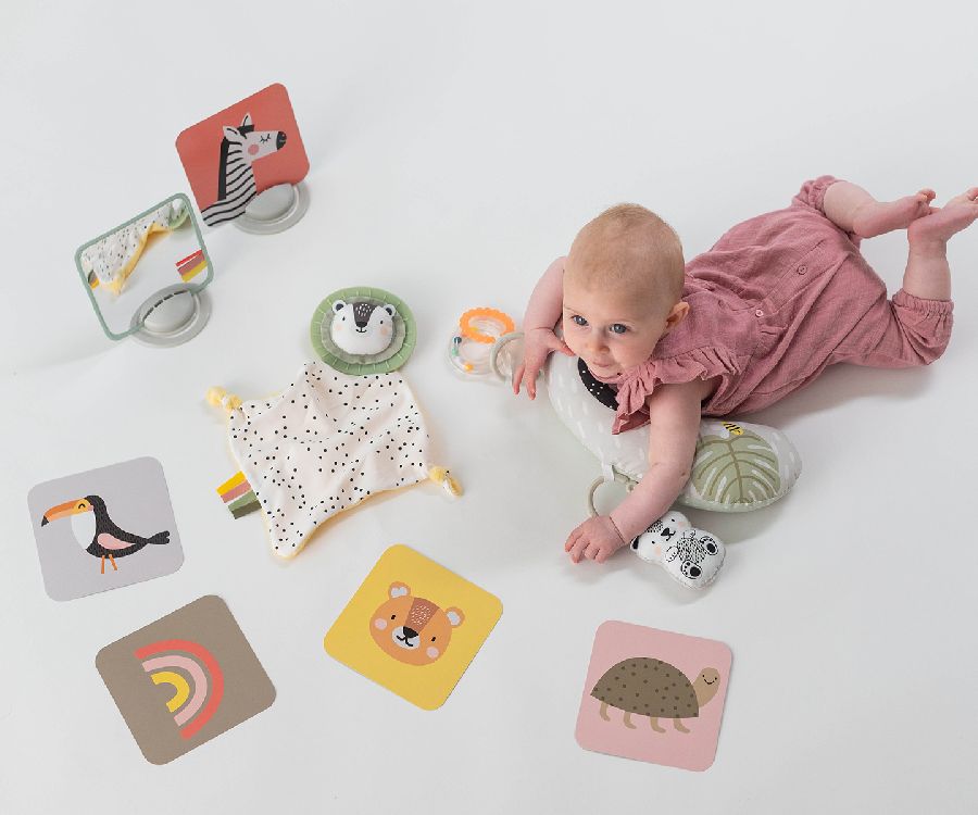 Tummy time speelset Taf Toys Newborn Develop & Play Kit