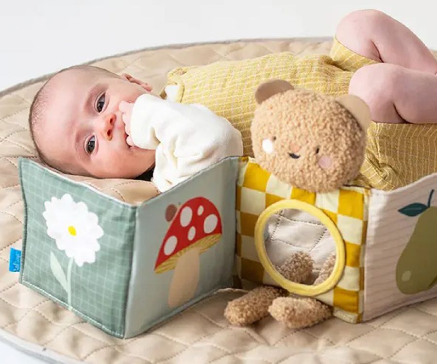 Zacht boekje Taf Toys Snuggle Bear Book | contrastboek