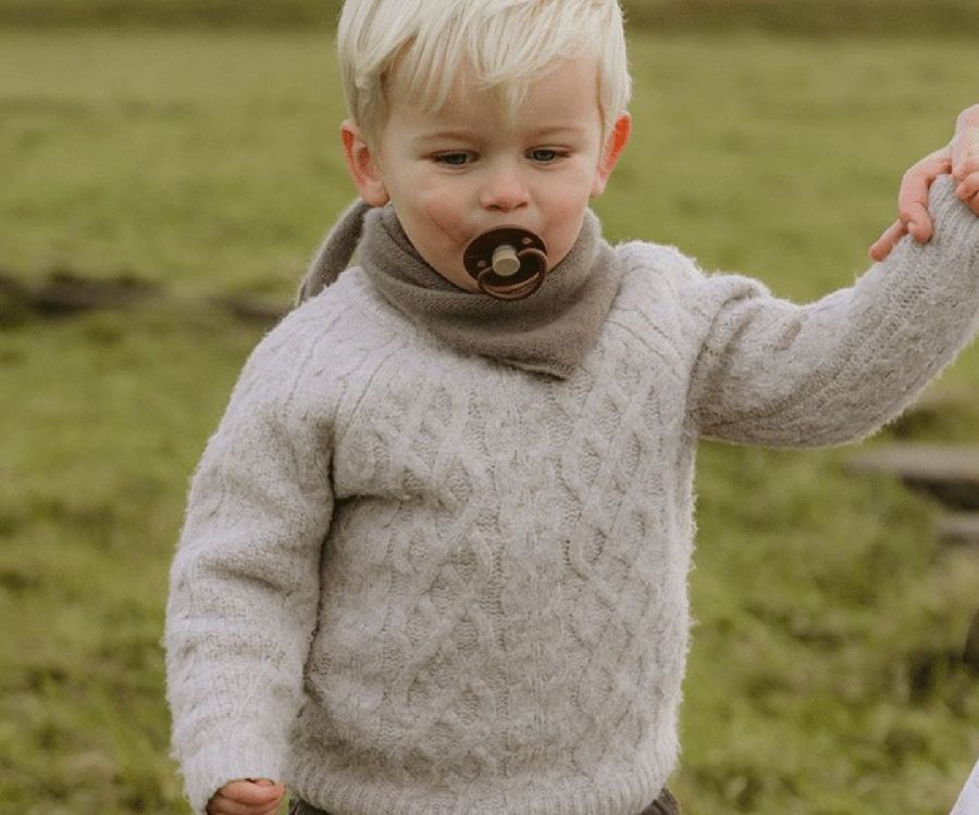 Fopspeen Frigg T1 | Little Viking