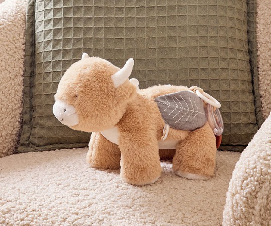 Activiteitenknuffel Noukies, Activity Soft Toy Fluffy | Fluffy, Orso & Lily