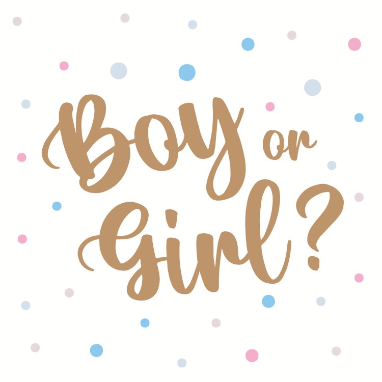Servetten Paper+Design, Boy or Girl, 33 x 33 cm, 20 stuk(s)